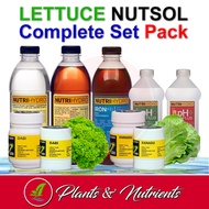 Lettuce Nutrient Solution Complete Package | For Hydroponics and Potted Plants