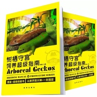 A Super Guide to Raising the Gecko in the Gecko (Simplified Version)/Big Gecko Gaigouya Gecko Eyelas