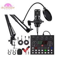 BM800 Condenser Microphone for