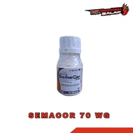 SEMACOR 70 Wg - HERBISIDA SELEKTIF - 100 Gr - Pengendalian Gulma Pada Tanaman Cabai