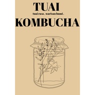 TUAI HomeBrew KOMBUCHA / Air Jamur / Cendawan Mekah