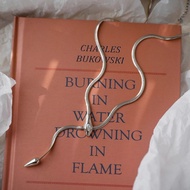 Spirit Snake Necklace - Female Collar Chain - Snake Bone Silver Neck Chain