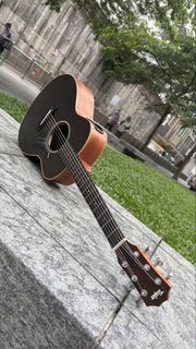 Taylor GS Mini-e Special Edition Acoustic