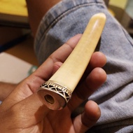 pipa rokok taring duyung original panjang 14cm