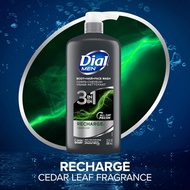 DIAL MEN 3in1 3 IN 1 Face WASHING SHAMPOO FOR MEN Body, Hair and Face Wash, Recharge 680ml
