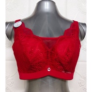 44D/100D PLUS SIZE BRA - WIRED