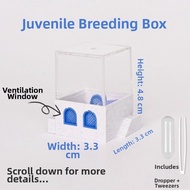 Jumping Spider Florida Habitat Box