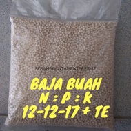 BAJA BUAH Mangga / Rambutan / Durian / Cempedak / Nangka / Limau
