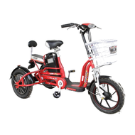 Selis Butterfly Trike - Sepeda Listrik Selis Butterfly Trike 3 Roda