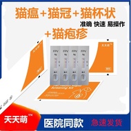 Cat Test Paper Cat Plague Test Paper Cat Corona Cat Herpes Cat Nose Sticks Cat Cup Cat Belly Transmi