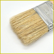 ◨ ۩ ✲ Asvesti Limewash Brush 2"