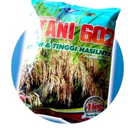 BENIH PADI|BENIH PADI HIBRIDA|BENIH PADI UNGGUL | BENIH INTANI 602|PADI GENJAH/|POTENSI HASIL TINGGI