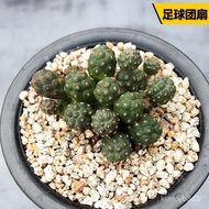 -8KHtRIngeZ7cb8NOQQj