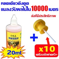 สารล่อแมลงทอง เมทิลยูจินอล (METHYL EUGENOL)ดักจับแมลงวันทอง ขนาด 20ซีซี