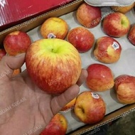 buah apel envy kecil 1kg