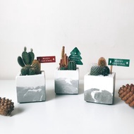 方形植物園.仙人掌盆栽.水泥盆栽.生日禮物