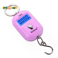 Portable Electronic Scale Backlight Luggage Hook Scale for 25kg 5g for Express Delivery and Small Lu