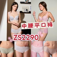 Flat Panties Underwear ZB4690 Seamless