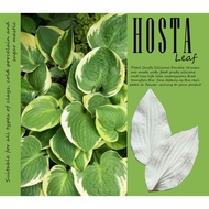 HOSTA LEAF - Double-sided beanpaste clay flower plastic mold
