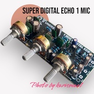 Kit Super Digital Echo 1 Mic / 2 Mic Tunersys New