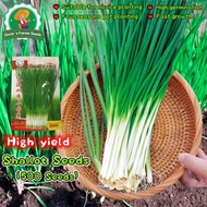 700pcs Full Seasons Shallot Seeds for Planting Vegetables Plants Vegetables Seeds Shallot Plant Seed