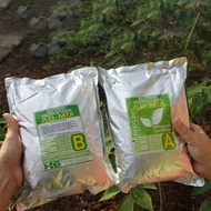 Nutrisi Hidroponik AB MIX Sayuran Daun 5L