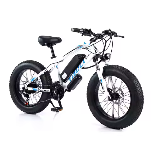750W 48V Fat Tyre E Bike Mountain Electric Bike 20 Inch Fat Tire Electric Bicycle With Shimano 21 Sp