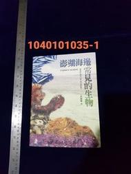 1040101035 澎湖海邊常見的生物(原價250元) 螃蟹 蝦子 貝殼 海星 海膽 海參 圖鑑