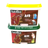 อาหารลูกนกป้อน Nutri Bird A21 ฝาเขียว  A19 ฝาเหลือง