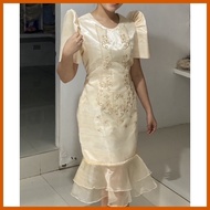 ∜ ▤ ┴ Lady Barong Dress/ Filipiniana