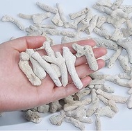 AnRui Natural Crushed Coral for Freshwater Aquarium, for Aquarium gh Corals to Raise ph in Freshwate