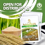 [ICE] Fulvic Plus - Organic NPK and Foliar Fertilizer for Plants, Vegetables, Corn and Rice. Better than Humus and Humic as Garden Soil Conditioner, Growth Enhancer and Flower Blooming (Pampabunga). Compatible with Amo, Anna, Canaan, MRJ and Hyfer!