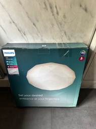 Philips 天花燈
