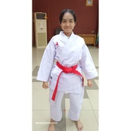 Tomido gemini pro word shirt, original white striped word shirt, standard wkf