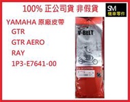 【SM機車零件】YAMAHA 原廠零件 純正部品 皮帶 GTR GTRAERO RAY 1P3-E7641-00