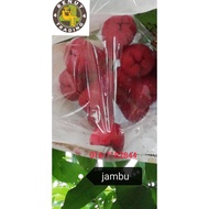 Jaring Pencegah Serangga Buah Jambu