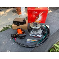 Magnet YZ 125 Thailand Ignition Set YZ125 Blayer RX King RXS FIZR NINJA R SS RXZ