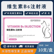 Vitamin B6 Injection Liquid for Spitting Promote Digestive Neuritis Dermatititis For Dogs Cats#维生素b6