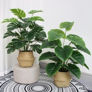 Green Living Room Flowers Flower Plants Turtle Back Fake Bionic Potted Plants Fake Ornaments Bedroom