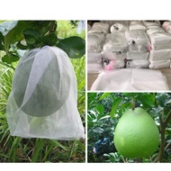 Set of 50 grapefruit bags 30x30cm for grapefruit, orange, mango, custard apple, fruit bags
