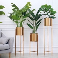 POKOK HIASAN DALAM RUMAH/PLANT HOLDER