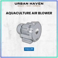 URBAN HAVEN | HAILEA AQUACULTURE AIR BLOWER | (VB-390G, VB-600G, VB-800G, VB-1200G, VB-2200G)
