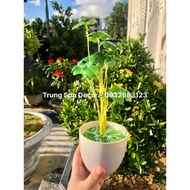 Fake Lucky 4-Leaf Clover