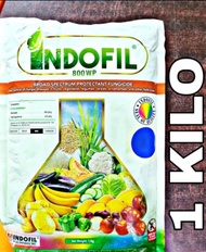 INDOFIL MANCOZEB BLUE FUNGICIDE (KILO)