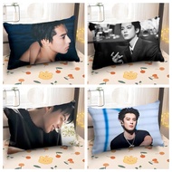 Pillow with Dylan Wang (Wang Hedi) Print |   Soft Plush Cushion with Removable Cover |   Perfect Gif