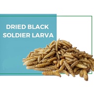 (Pet Food) PREMIUM BSFL Dried Black Soldier Larva 100g-1.2kg makanan ikan channa,hamster,hedgehog ,b