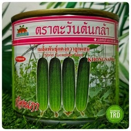 Gardens Tin 50g KHONGNAPHA F1 Hybrid Biji Benih Timun Batang Baby Mini Cucumber Seeds Advance Seeds Thailand Ready Stock.