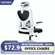High-back Ergonomic chair Mesh Back Home office Computer Study chairs
