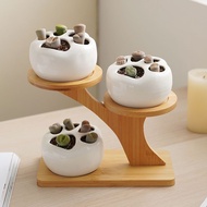 D0621 Desktop Flower Stand Creative Flower Stand Succulent Stand Office Flower Stand Living Room Sma