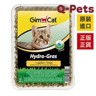 GimCat - 簡易種植貓草150G